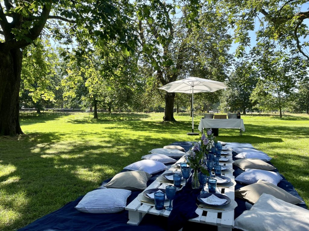 Formal Picnic Setup